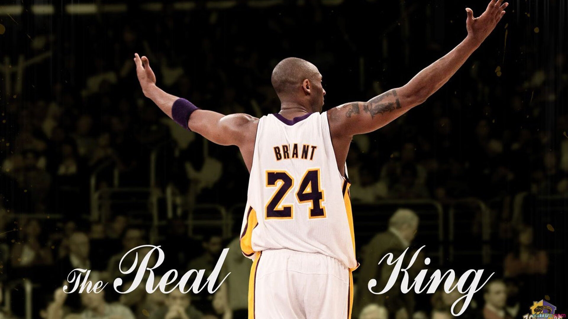 开云在线直播-“国王队青年才俊崛起，未来可期”，国王队百科